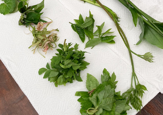 敷地内で採れる食べられる野草