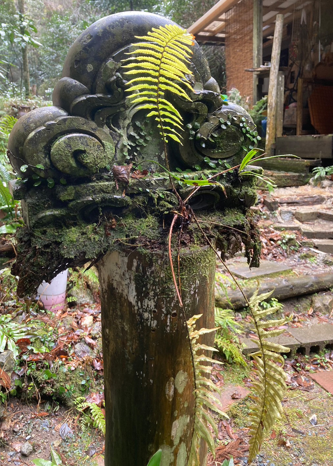 BENギャラリー画像