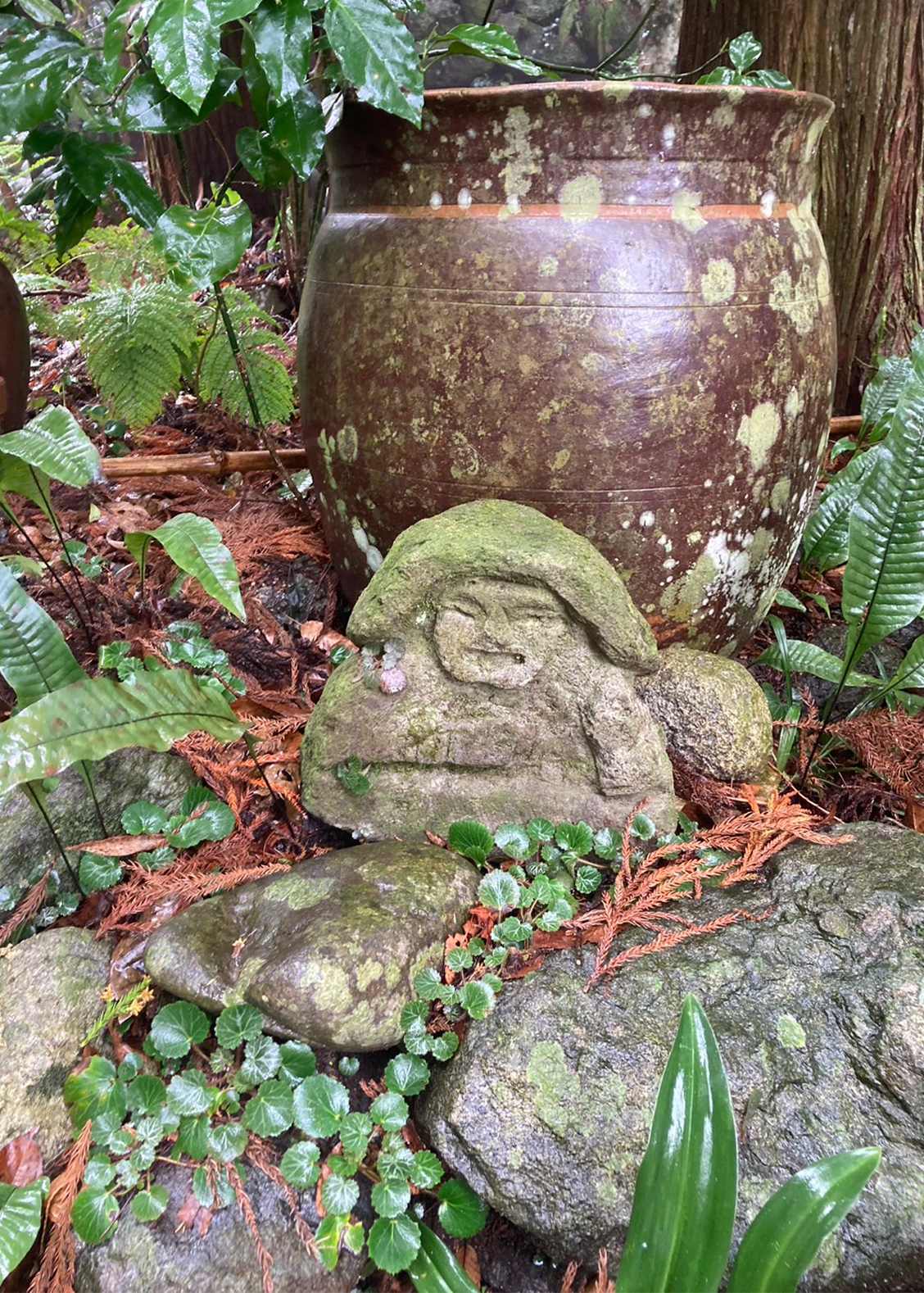 BENギャラリー画像