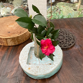 椿のイメージ写真